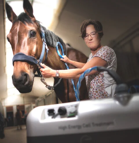 Auf diesem Foto hält die Tierärztin das Equitron Gerät, während der Magnetwellentherapie, an den Hals eines Pferdes.